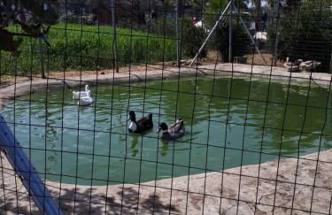 Casa Vacanza Demi - Foto 54