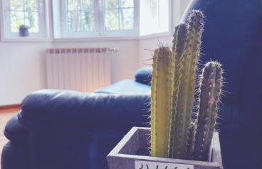 Itaca Experience Playa do Cabedelo - Foto 80