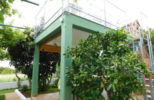 Apartmani Tognon - Foto 58