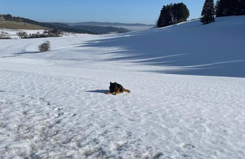 GreenHolidays - Foto 46