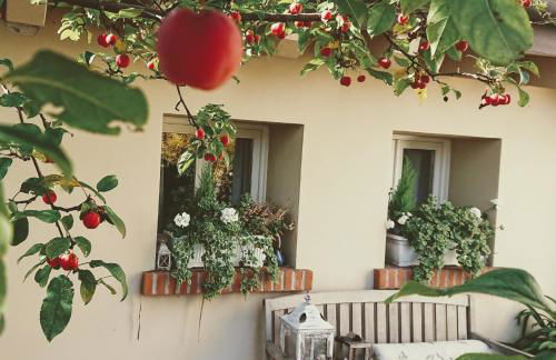 La Casa del Giardiniere - Foto 24