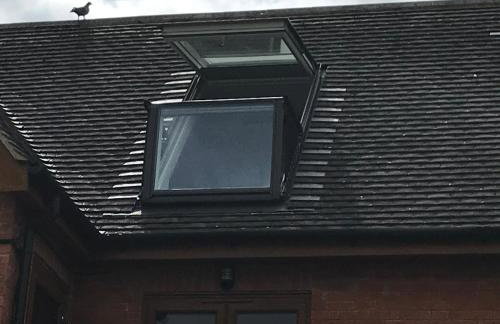 The spinney home stay - Foto 58