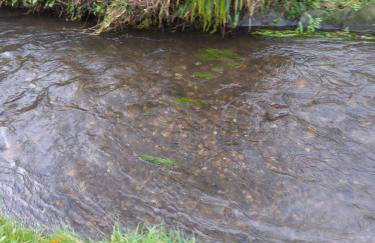 Lile Cottage at Gleaston Water Mill - Foto 9