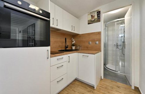 Cozy Home In Vrtlinovec With Sauna - Foto 4