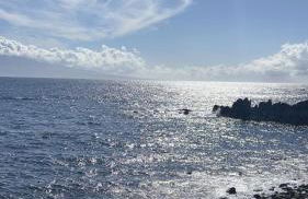 Mar D'Abstração - Photo 27