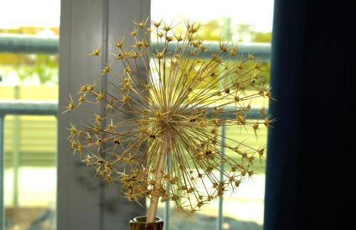 Eröffnungsangebot Übernachten in einem umgebauten Bunker - Foto 28