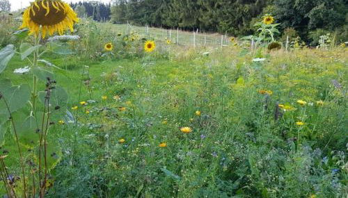 Pleasant apartment in Karlsfeld - Foto 5, Other