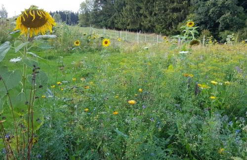 Pleasant apartment in Karlsfeld - Photo 5