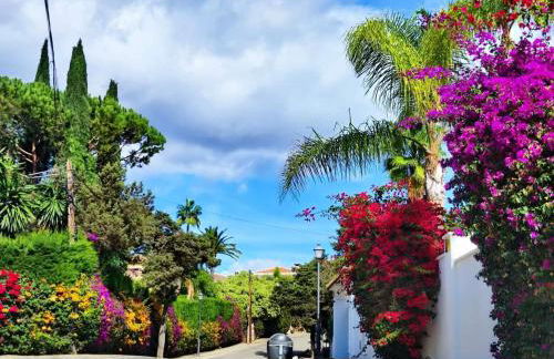 Riviera Del Sol Apartment - Photo 25