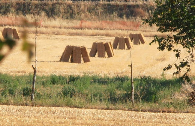 Agriturismo Ponte di Riocchio - Photo 37