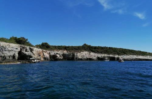 Apartmenthaus Viktoria - Foto 15