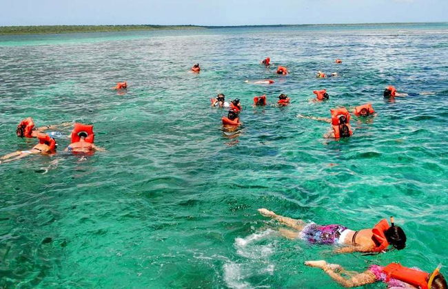 Cueva de las Maravillas, Catalina Island e Altos de Chavón - Tour de Dia Inteiro - Foto 6