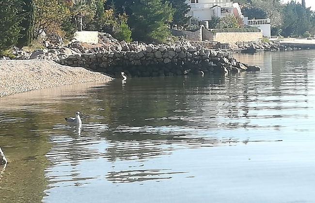 Apartments Natasa - Foto 23