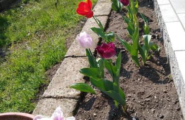 La Casa di Rina - Foto 19