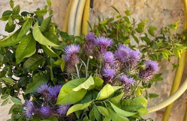 Casa da Mata - Foto 14