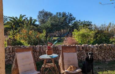 Agroturismo Finca Sant Blai - Photo 38