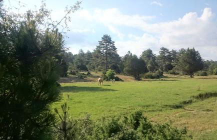 Ciudad Encantada Tio Daniel - Foto 50