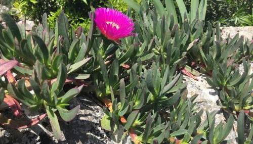 Casa dos amigos 1 - Foto 5