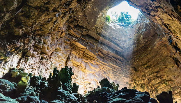Excursión a Alberobello, Ostuni y Locorotondo - Foto 3