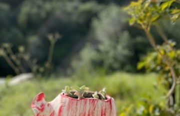 Villa Dorita Luxury Apartments - Foto 52