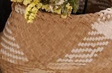 Tenios Urban nest retreat - Foto 10