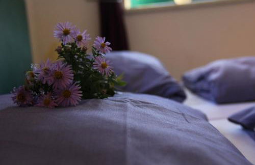 Pensionszimmer im Fliederhof - Foto 3