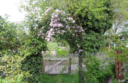 Ferienhof Mrowka - Photo 12