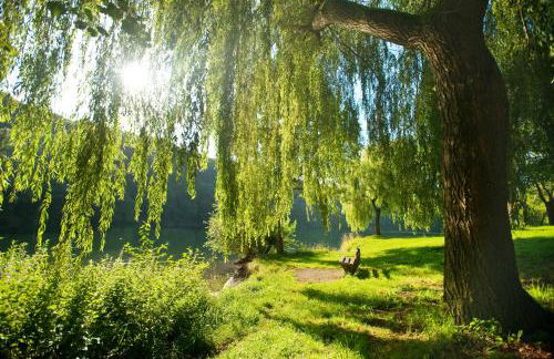 Ferienhaus am Sauerbrunnen - Foto 24