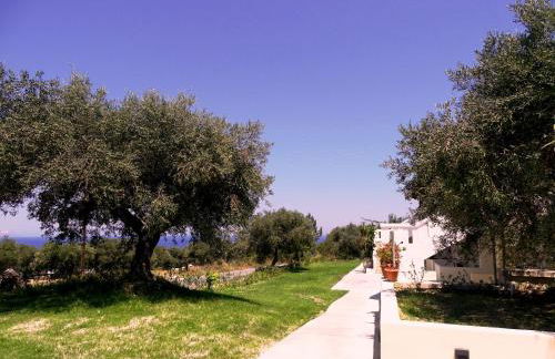 Lyrids Apartments - Photo 90