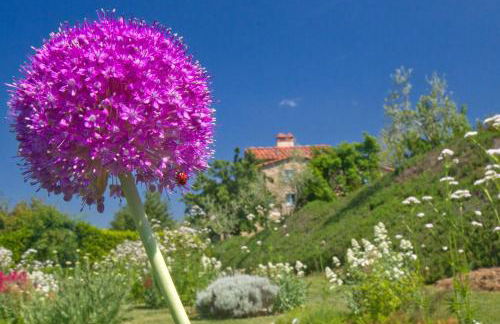 Odina Agriturismo - Foto 9