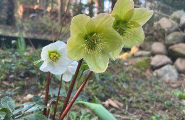 Ferienhaus Stefanie - Foto 16