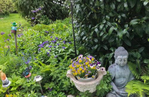 Böhmerwaldnest - Foto 48