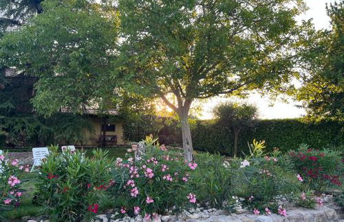 Assisi, la Noce - Foto 13