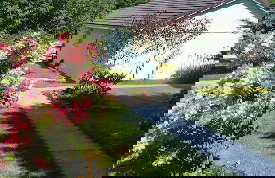 Thornbury Holiday Park - Foto 58