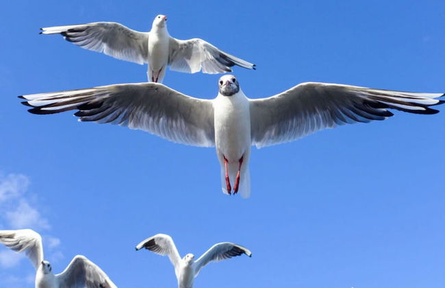 Kaiserhof \"lake View\" - Foto 8