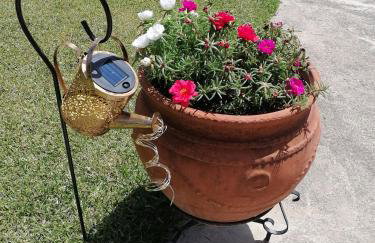 Αξέχαστη διαμονή - Unforgettable accommodation - Foto 37