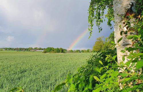 Apartment Landhaus Müritzliebe by Interhome - Foto 20