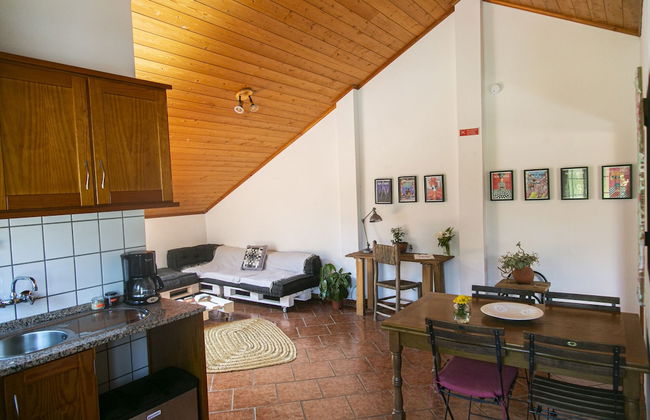 Quinta Camarena - Foto 50