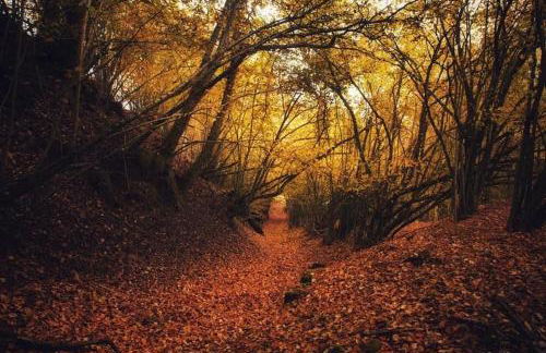 La Casetta - Foto 18