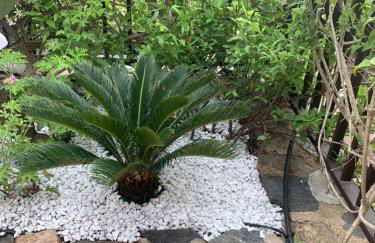 Appartamento Porto Rotondo Rudargia - Foto 24