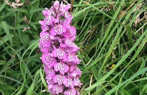 Tanybryn (Welsh meaning on the brow of a hill) - Photo 10