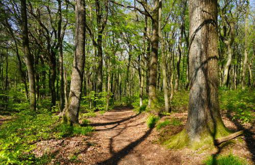 Nordloft Bad Nenndorf - Photo 24