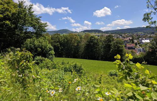 Rhön Lodge - Foto 16