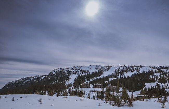 Sørenga Apartments Ringebu - Foto 30