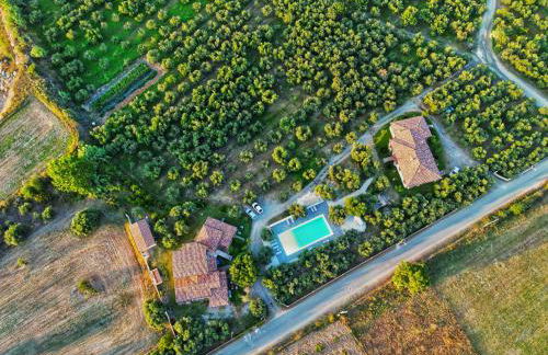 Armandiola - Foto 26