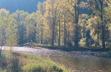 Montana Rock Creek Cabin - Foto 17