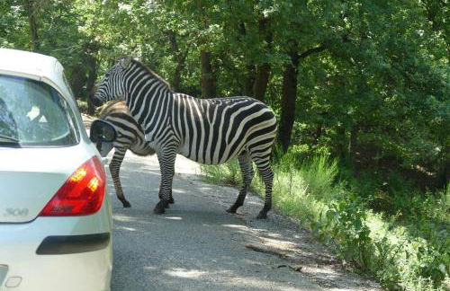 GITES DES ECOLES - Foto 7