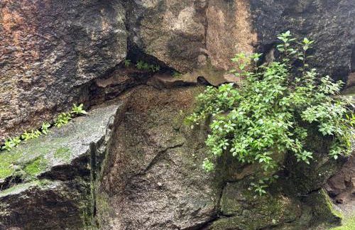 Espejo del Tiétar - La comodidad de baños en suite - Foto 66