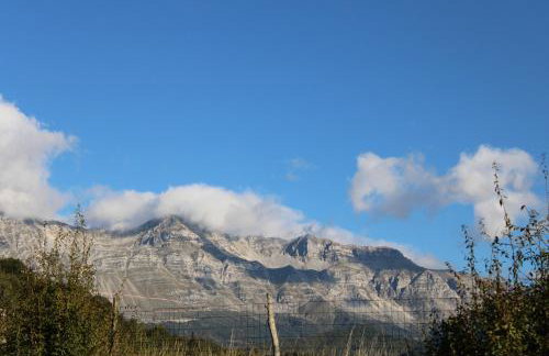 Frasta's Rose - Foto 27