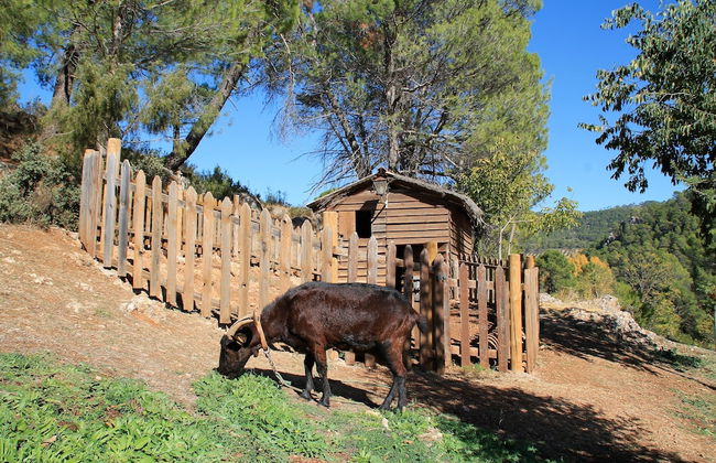 Alojamiento Rural Las Maravillas - Foto 45